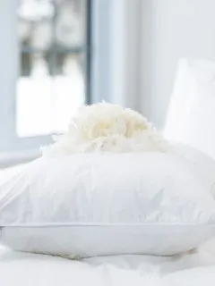 عکس خرید بالش پر مرغ